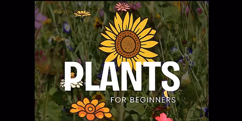 Plants for Beginners Workshop