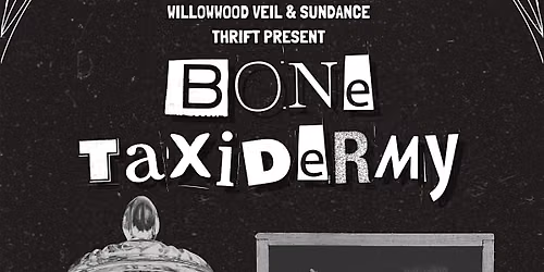 Bone Taxidermy Displays