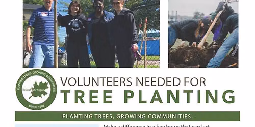 Tree Planting in Southfield