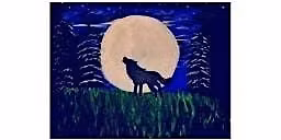 Wolf Moon Saturday November 29th 7:00 pm  $40