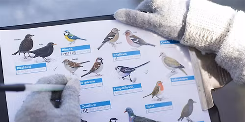 RSPB Big Garden Birdwatch 2026 (Angel Meadows)