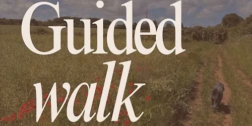 The packhorse Guided Walk