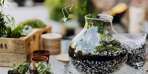 Terrarium Building Workshop in Carrboro