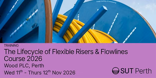 The Lifecycle of Flexible Risers & Flowlines Course 2026