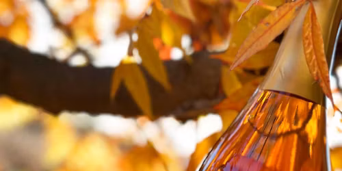 Special Tasting Room Hours