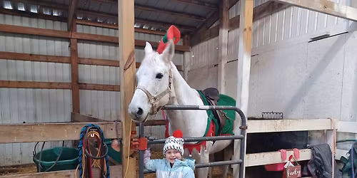 Post a Letter to Santa from a Pony