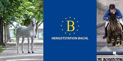 BACHL WEEKEND 2026 \u2013 Save the Date