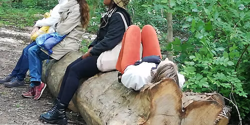 Forest Bathing Walk \/ Ba\u00f1o de bosque \/ Shinrin Yoku \/ Amstelpark-Amsterdam