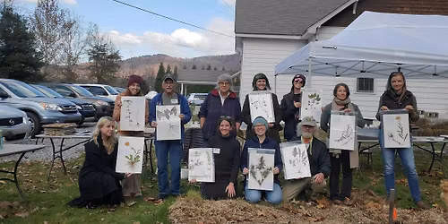 The Art and Science of Pressed Plant Vouchers