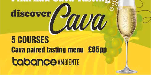 Discover Cava with Vilarnau Cava