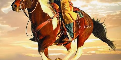 Territory Whiskey Tasting