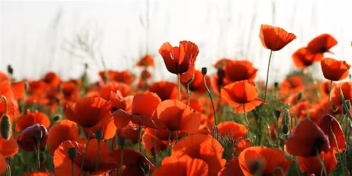 2026 ANZAC ceremony, Los Angeles National Cemetery