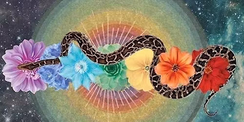 7-Week Journey Through the Chakras