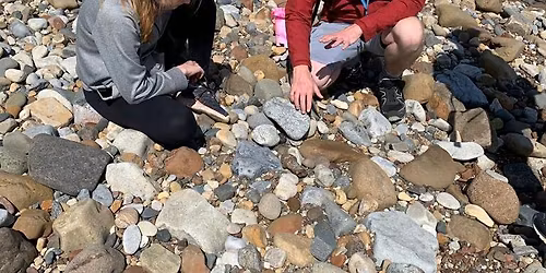 Filey Bay - Jurassic lobsters on ice!