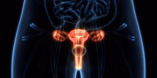Gynaecology Study Day