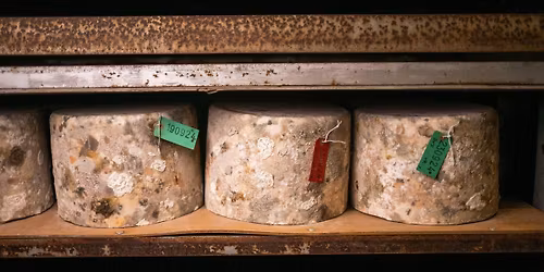 Quicke's Cheese Tour 8th May