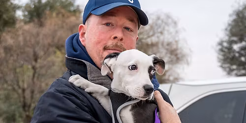 Hike with a Homeless Pet 