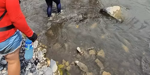 Caminata Ecol\u00f3gica Hamaca del sol