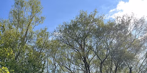 For\u00e5rets urter og bl\u00e5 himmel - sanketur p\u00e5 f\u00e6lleden