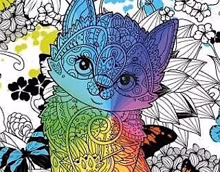 Coloring with Cats