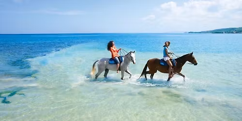 Reggae & Waves \ud83c\udf0a Cruising to Jamaica