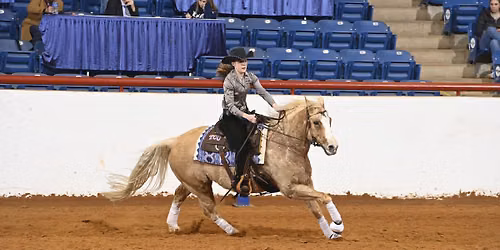 FWSSR Stock Show Bowl \u2013 Collegiate Equestrian Competition