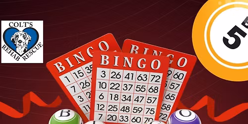 Bingo Fundraiser 