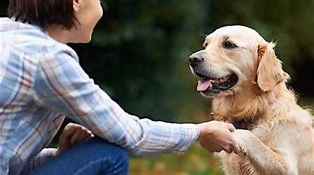 Pets for Mental Health  course