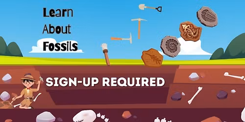 Tween Learn about Fossils (Sign-up Required)