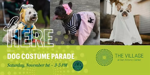 Dog Costume Parade at The Village at San Antonio Center