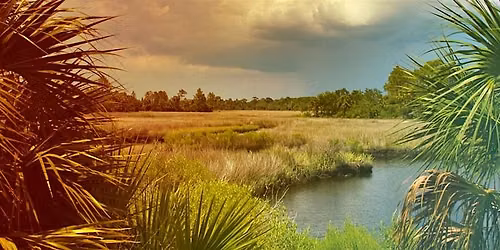 Aquatic, Natural Areas, and Right-of-Way Pesticide CEU Day