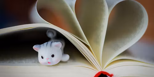 2nd Sunday Silent Book Club - Moonstone