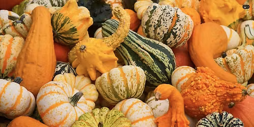 B*TCH & STITCH HALLOWEEN QUIZ SPECIAL | Manchester Wool & Yarn