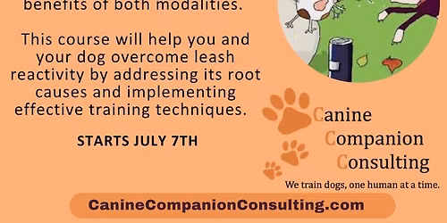 Comprehensive Leash Reactivity Course