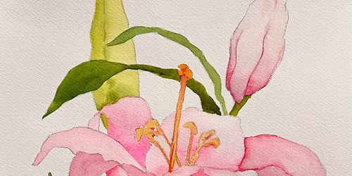 Watercolor Workshop: Pink Lily