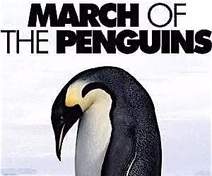 Science: Across the disciplines March of the Penguins