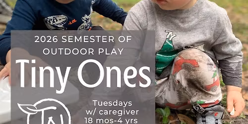 Tuesday Tiny Ones 2026