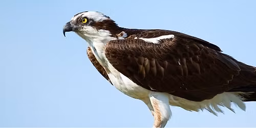 Bird Walk at World's End