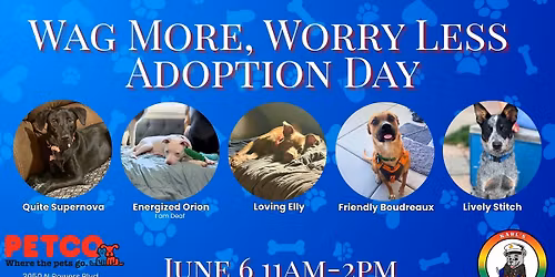 Wag More, Worry Less Adoption Day