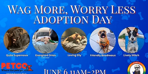 Wag More, Worry Less Adoption Day