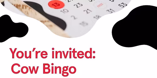 Bingo Night 