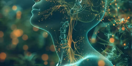 Calm the Chaos: Resetting Your Nervous System