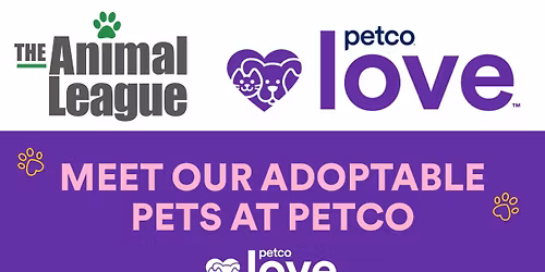 Meet-and-Greet Adorable Adoptables at Petco