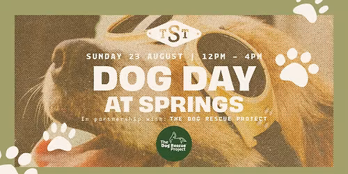 Dog Day at The Springs