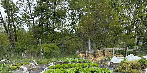 Volunteer Day at Don Coppedge Village Community Garden