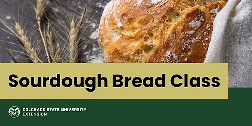 Sourdough Baking Class
