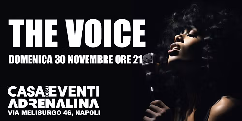 The Voice - vota la migliore voce