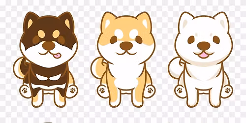 May 2026 Boston Shiba Meetup