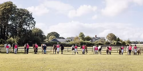 Yule Tide Festival of the Horse