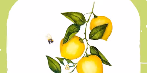 Watercolor Workshop: Lemons